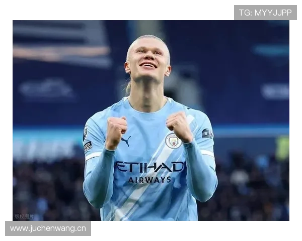 博德闪耀后卫数月研究防哈兰德